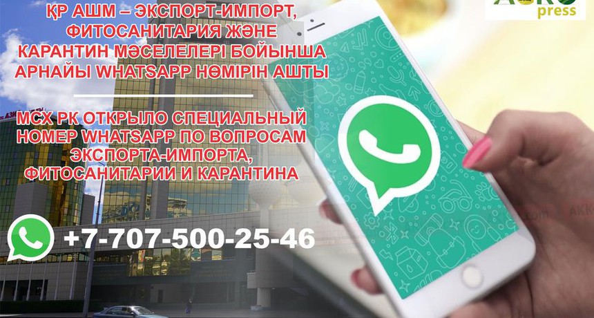 МСХ РК открыло специальный номер WhatsApp по вопросам экспорта-импорта